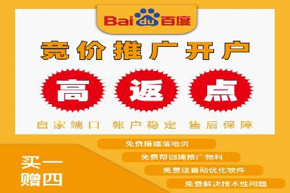 SEM托管服务实战案例：打造高效广告投放策略